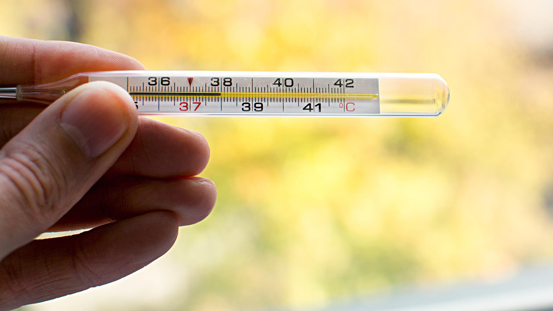 Depositphotos_322203350_xl-2015 Depositphotos_322203350_xl-2015